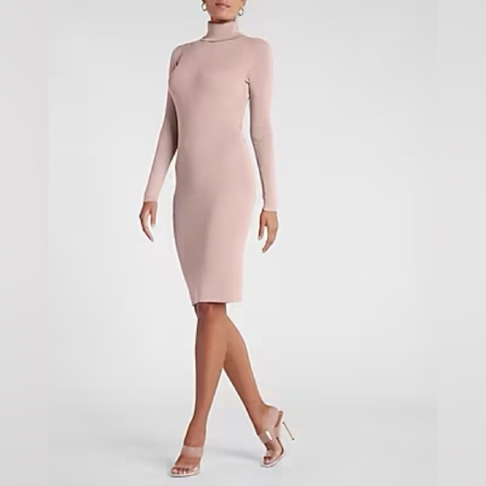 Long sleeve sweater dress from Express. Color is blushing mauve